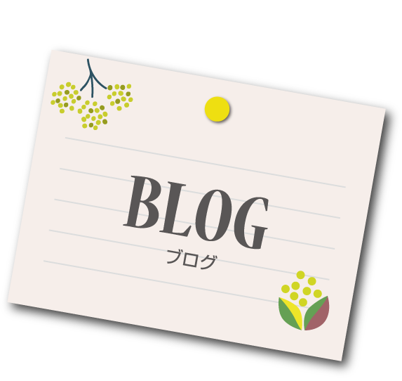 BLOG